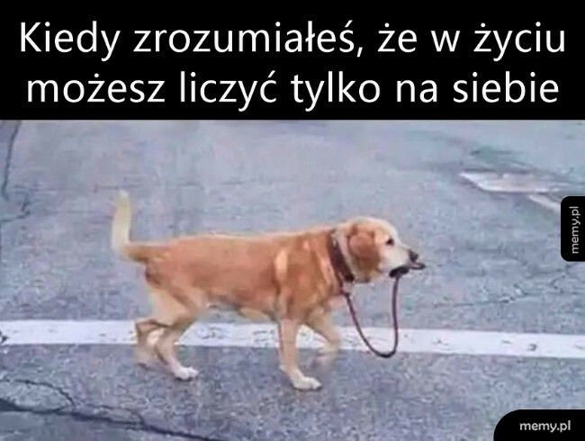 No to liczę