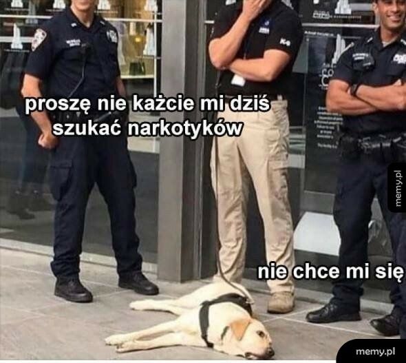 Dzisiaj to nie