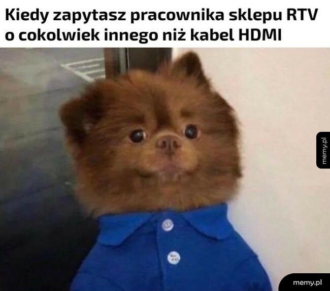 Pracownik sklepu RTV