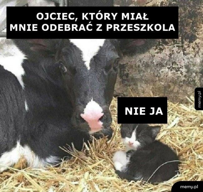 Odbiór dziecka z przedszkola