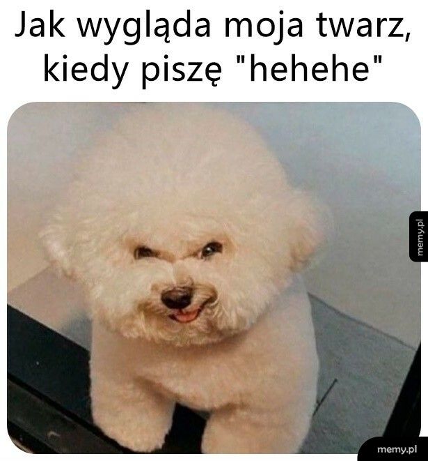 Coś w ten deseń