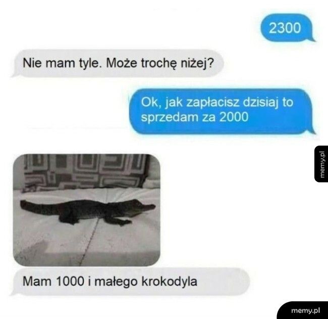 Niestandardowa propozycja