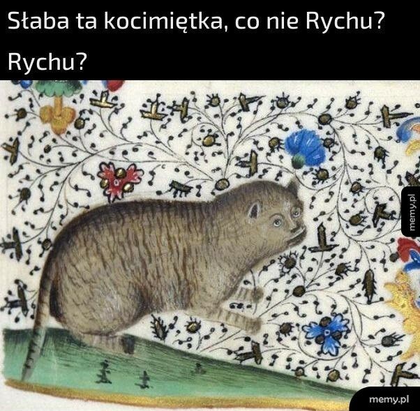 Kocimiętka