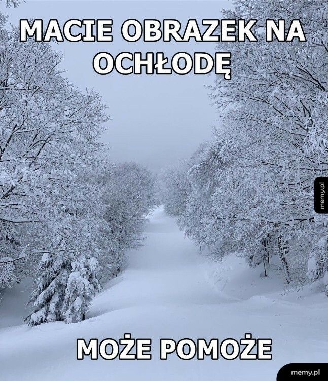 Trochę chłodku