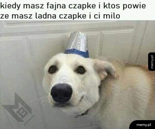 Dziękuję