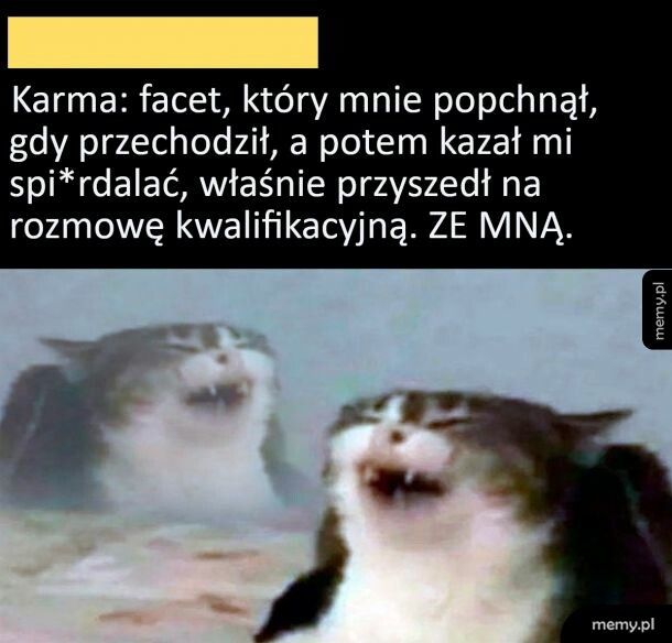 Karma szybciutko wraca