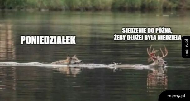 Poniedziałek