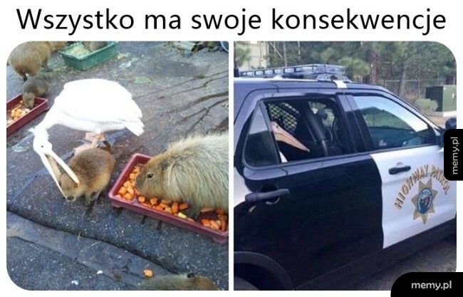 Konsekwencje