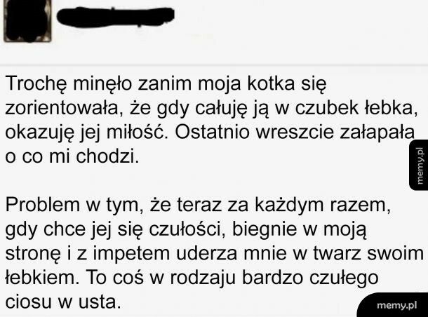 Czułości z kotem