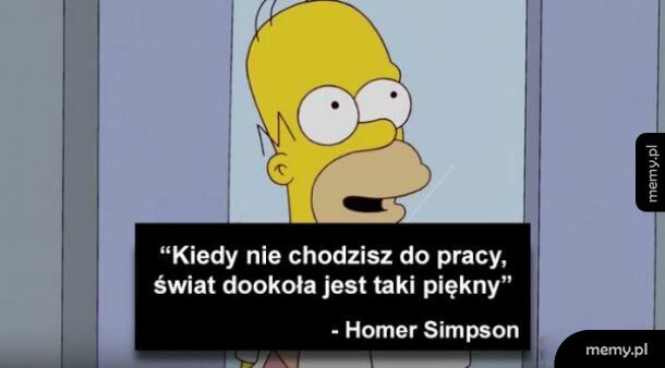 Homer