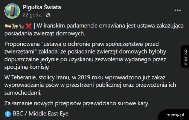 Iran i ustawa zakazująca posiadanie zwierząt domowych