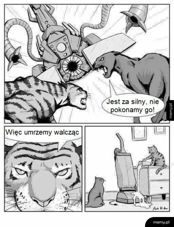 Zwycięstwo