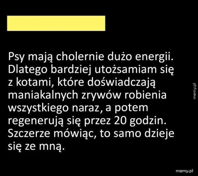 Duchowe zwierzę