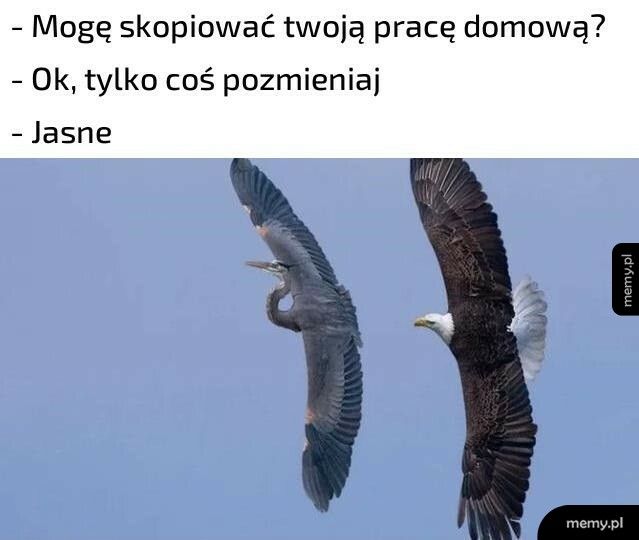 Praca domowa