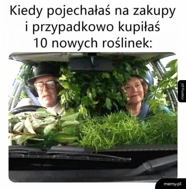 Podjedziemy tylko się rozejrzeć...