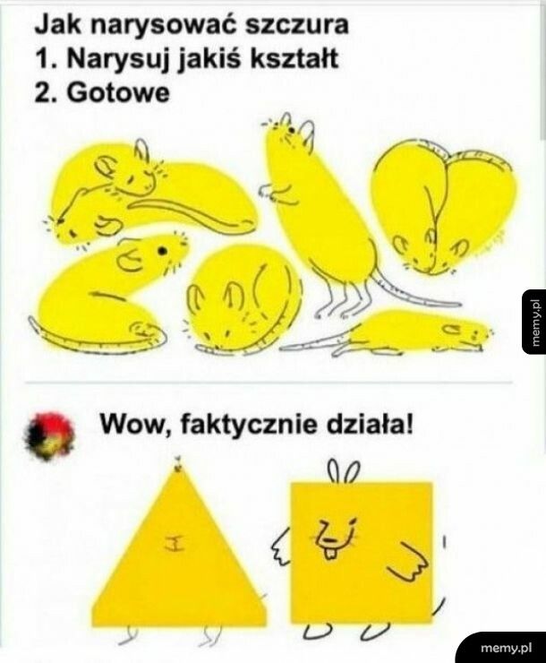 Szczur