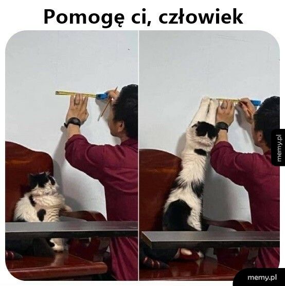 Pomocnik