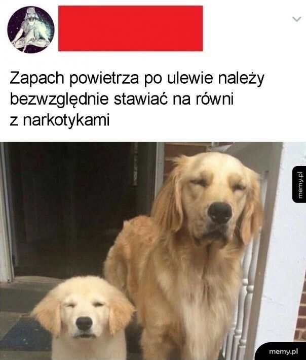 Zapach powietrza