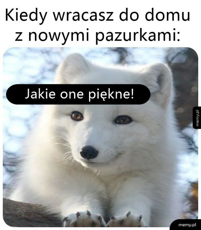 Czas podziwu