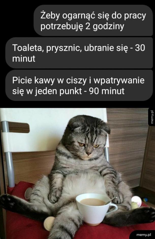 Ogarnianie się do pracy