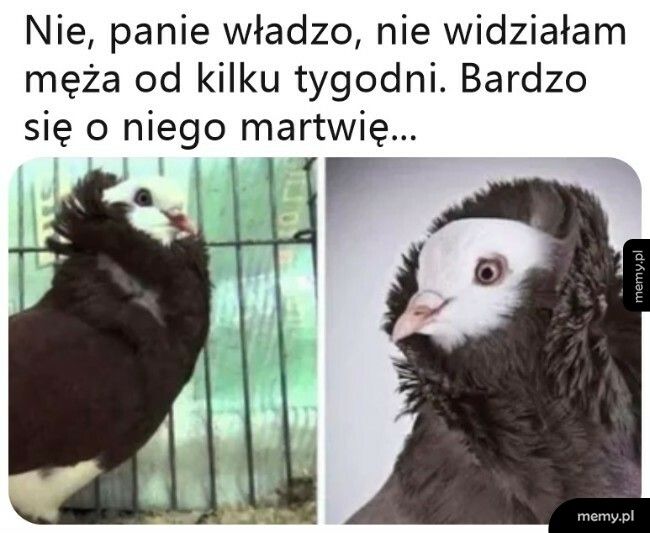 Zmartwiona żonka