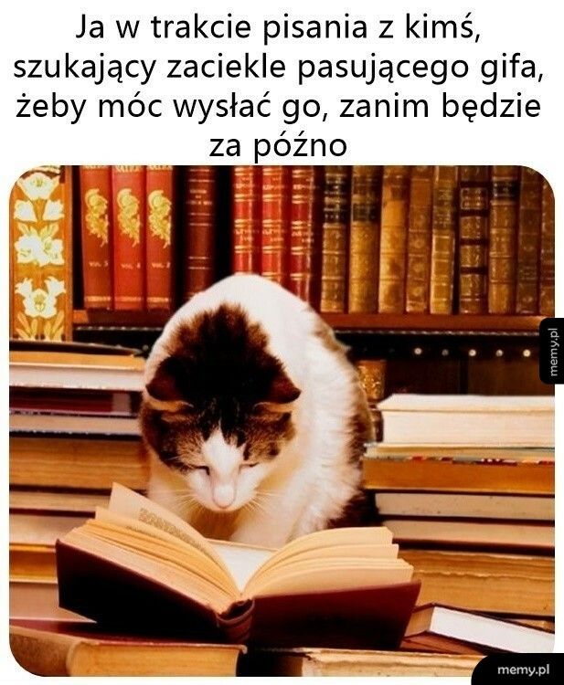 Szybko, szybko!