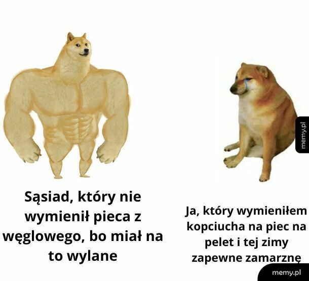 Głupi byłeś i słuchałeś rządu? To masz!