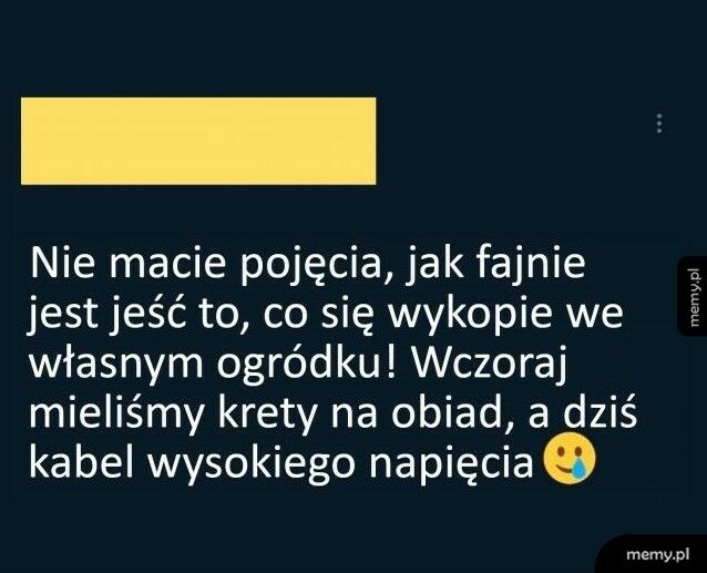 Zbiory z własnego ogródka