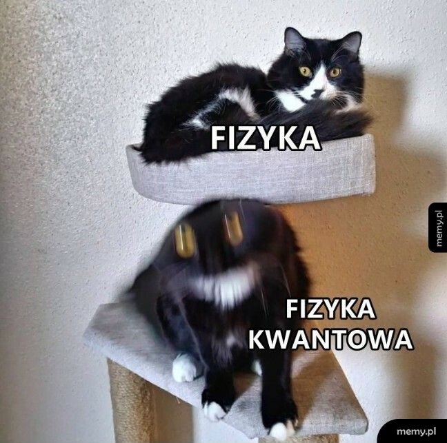 Fizyka