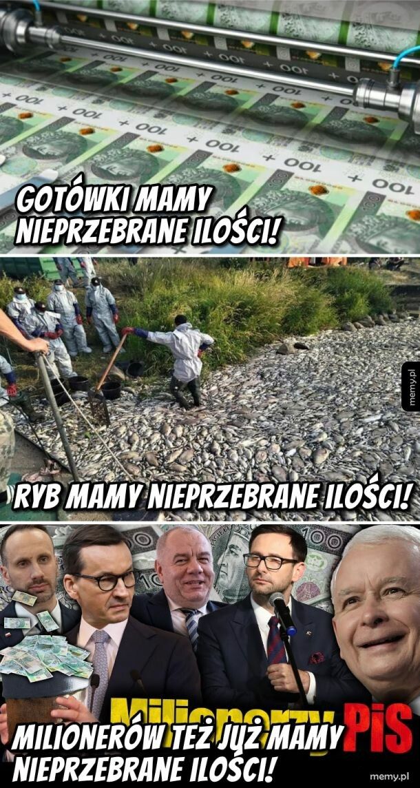 Nieprzebrane ilości!