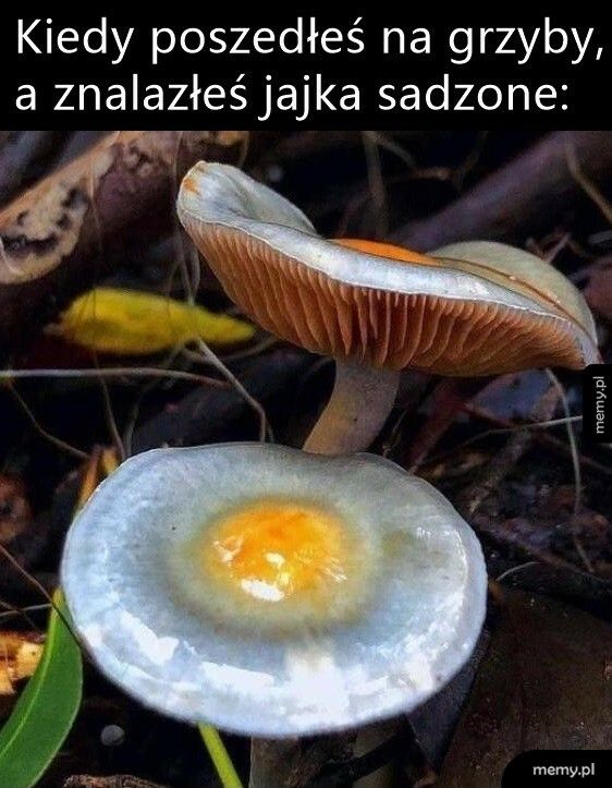 Też smacznie