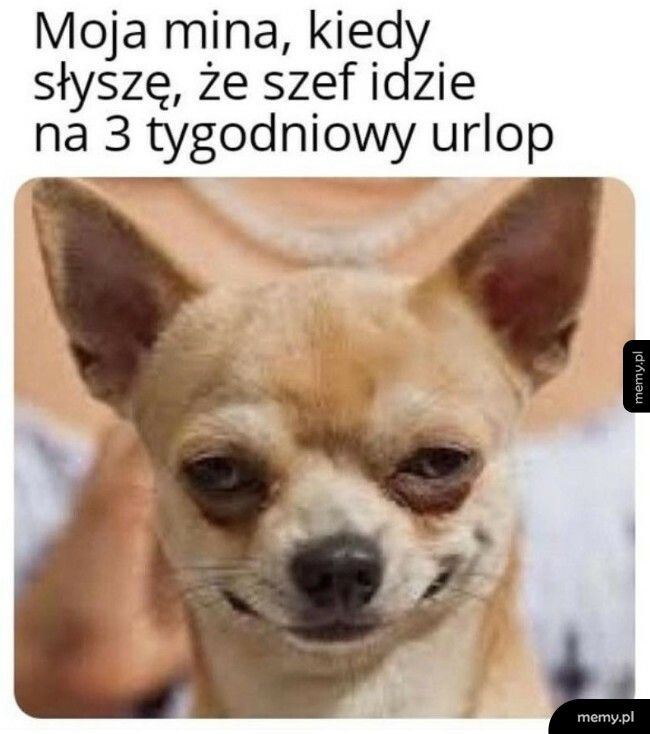 Szef na urlopie