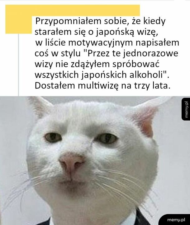 Bo ważne jest mieć dobry powód :)