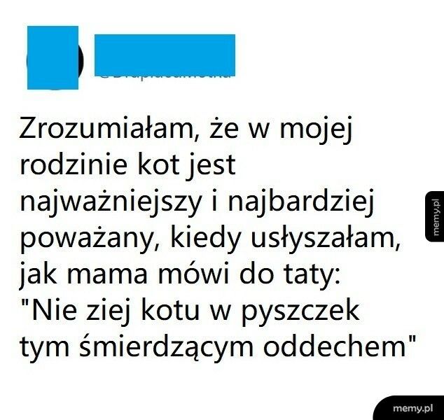 Najważniejszy członek rodziny