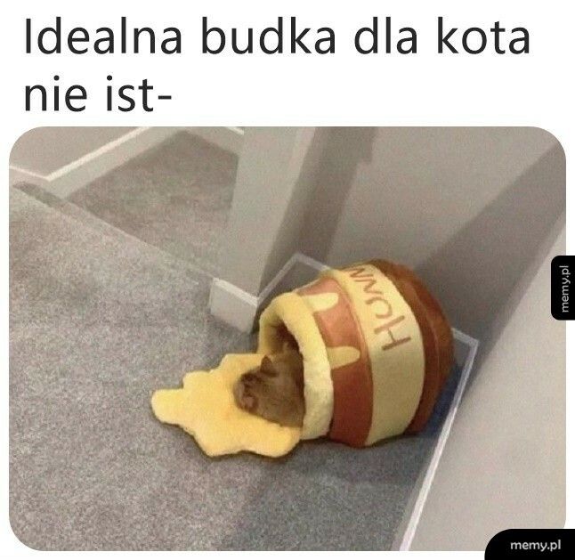 Budka dla kota