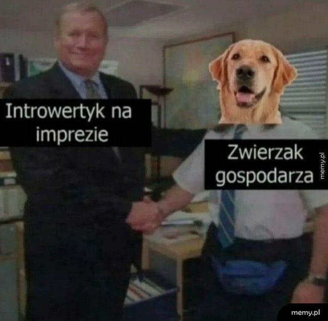 Introwertyk na imprezie