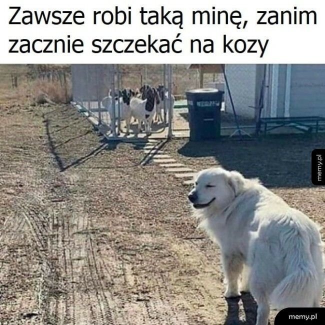 Ma satysfakcję