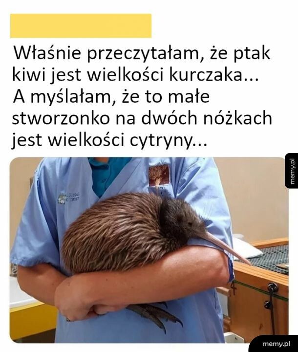 Całe życie w błędzie