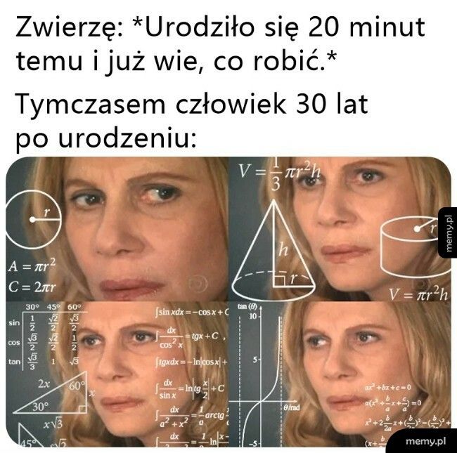 Zwierzęta vs. Ludzie