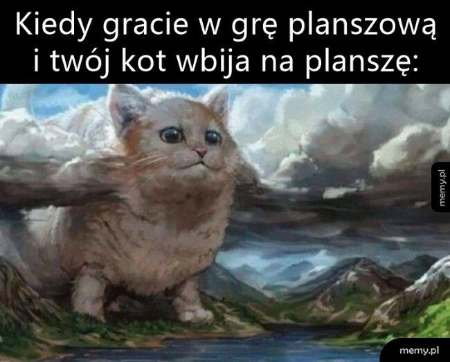 Kot na planszy