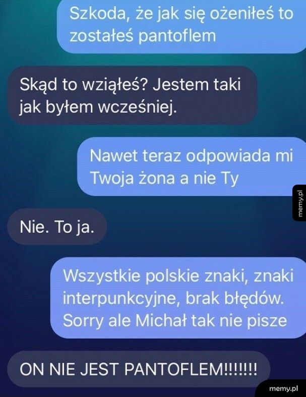 Wymiana zdań