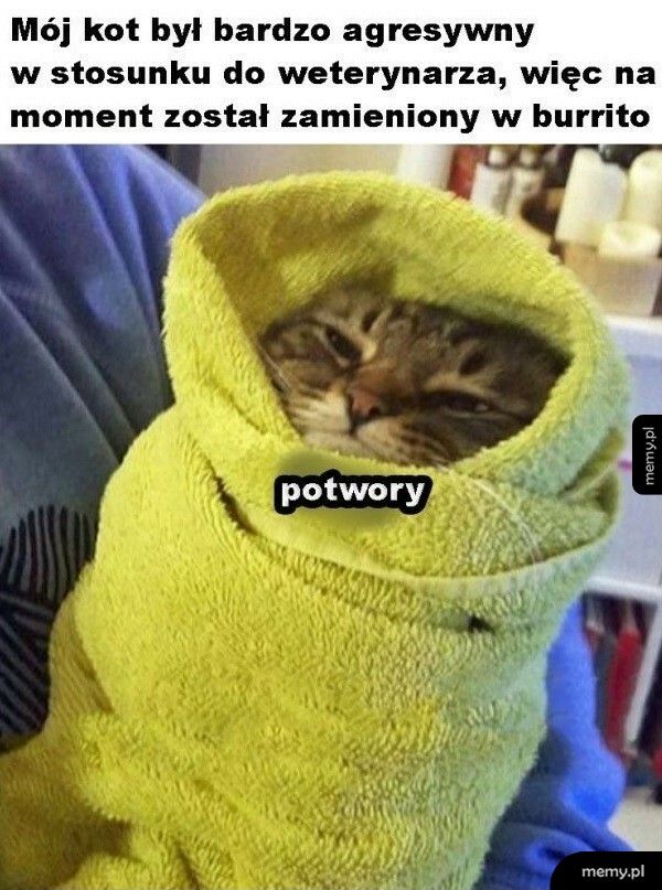 Burrito