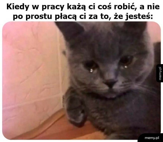 Praca