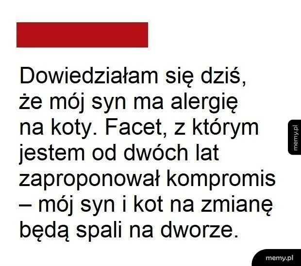 Alergia na koty