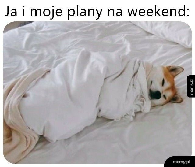 Plany na weekend