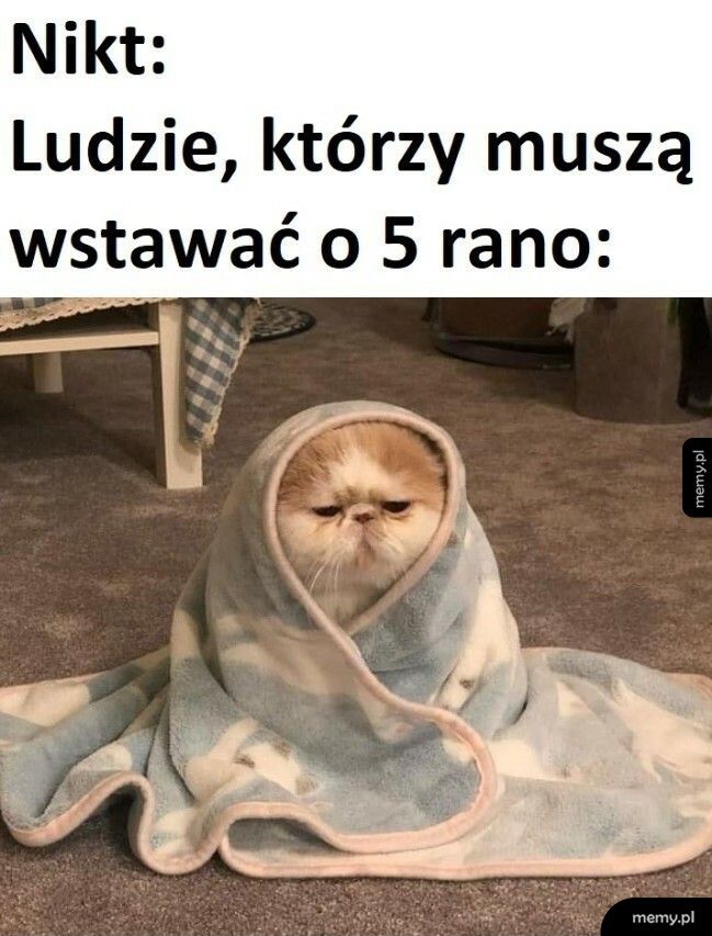 Co za piękny poranek