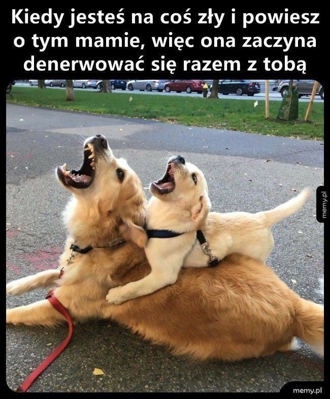 Udzieliło się