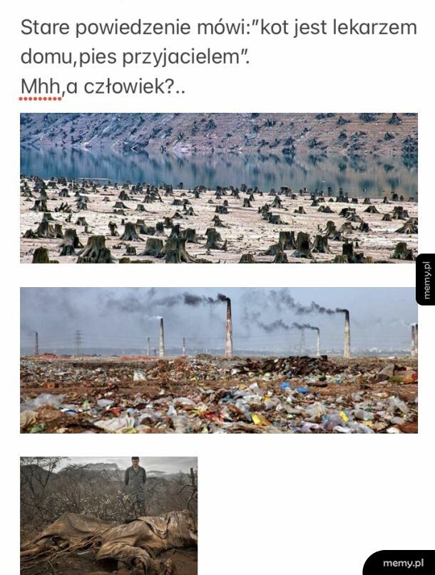 Człowiek-najwyższa forma inteligencji..