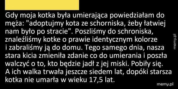 Odzyskała chęci do życia