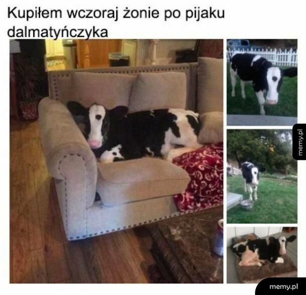 Jakiś dziwny